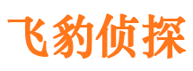 双桥寻人公司